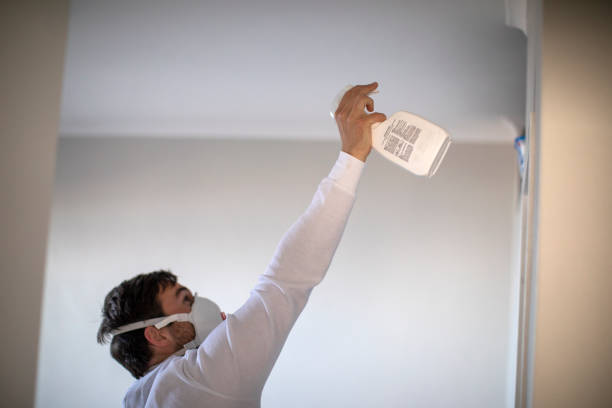 Best Basement Mold Remediation in Nd Point, WI